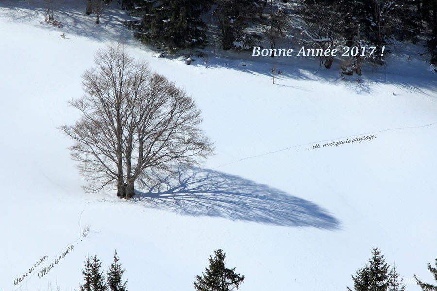 Voeux2017