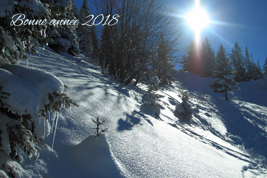 VOEUX2018