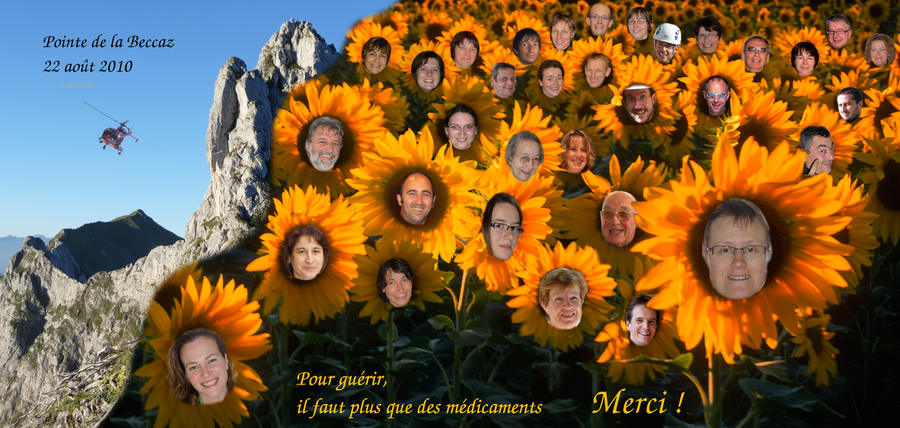 Voeux 2010
