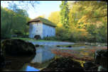 5D3_10452  -  <strong>Bords du Chéran<br/>Le Moulin Janin (Héry-sur-Alby)</strong><br/>Gruffy - Octobre 2017