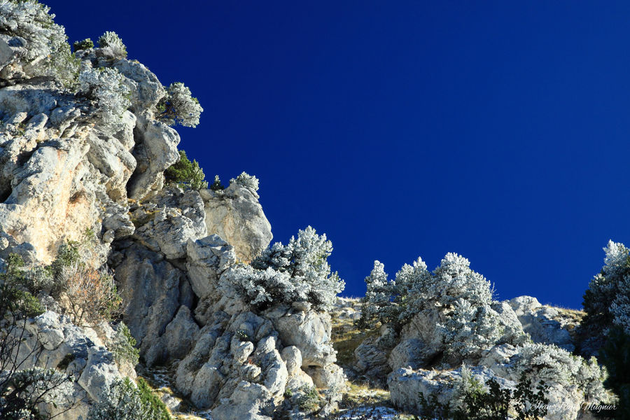 1ères neiges