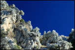 IMG_19070  -  <strong>Les premières neiges sur les reliefs de la Dent de Rossanaz</strong>	<br/>Aillon-le-Vieux (73) - Octobre 2014