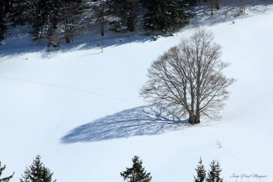 Arclusaz