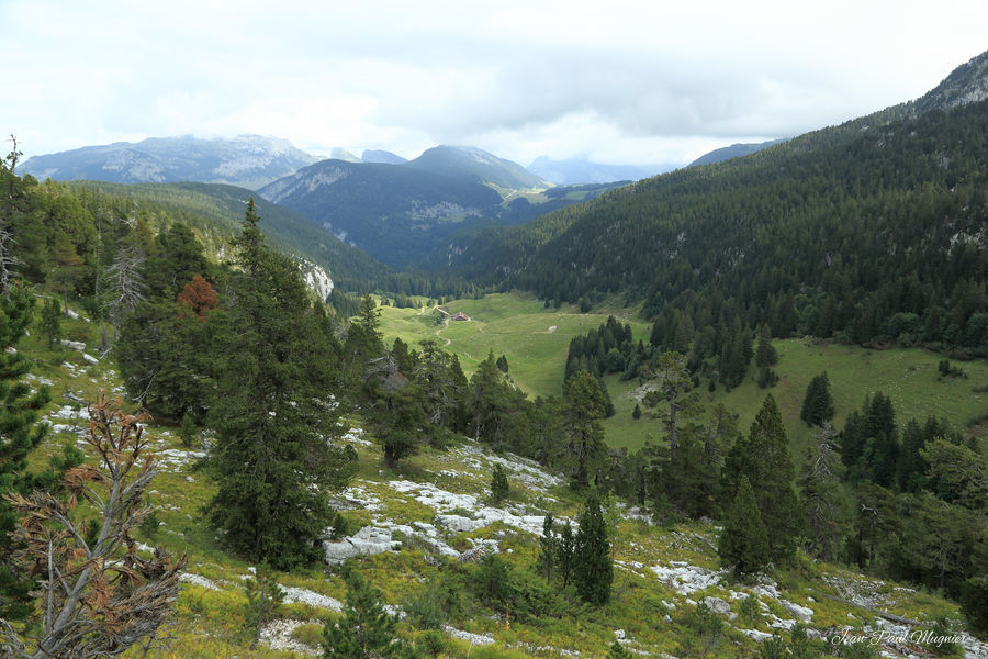 5D3_09552