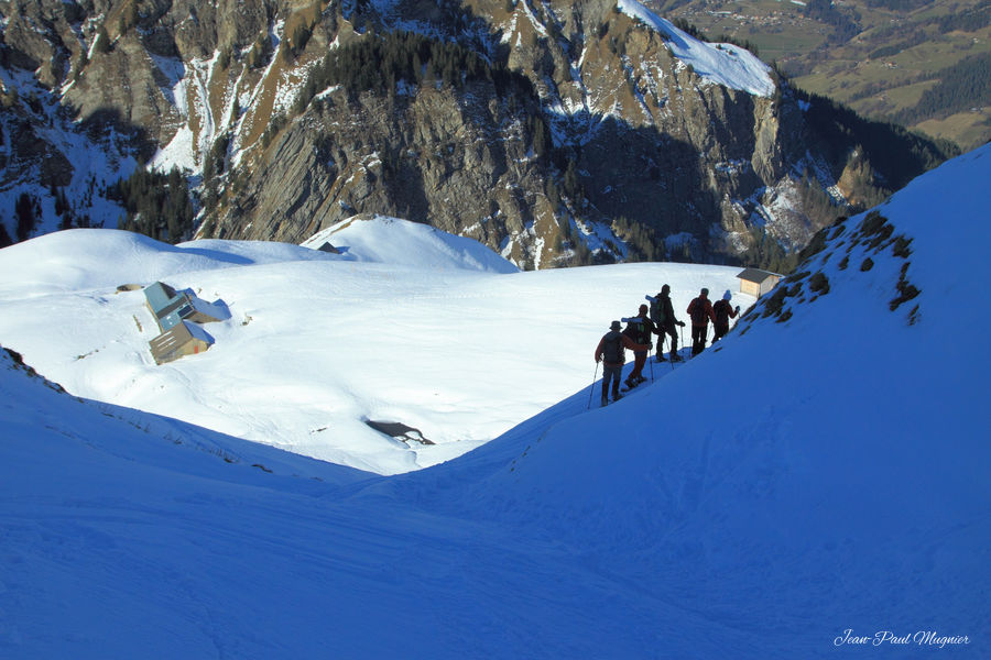 Aulp de Fier d'en haut