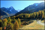 5D3_10225  -  <strong>Lognan - Glacier d'Argentière<br/>Sortie de la forêt à Lognan …</strong> <br/>Chamonix - Octobre 2017