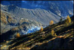 5D3_10241  -  <strong>Lognan - Glacier d'Argentière<br/>Les pénitents du Glacier d’Argentière apparaissent entre moraine et mélèzes</strong> <br/>Chamonix - Octobre 2017