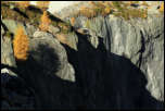 5D3_10374  -  <strong>Lognan - Glacier d'Argentière<br/>Mélèzes, roche et ombre</strong> <br/>Chamonix - Octobre 2017