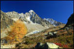 5D3_10385  -  <strong>Lognan - Glacier d'Argentière<br/>Sur le chemin du retour, mélèze, Chardonnay, Aiguille d’Argentière et pénitents du glacier</strong> <br/>Chamonix - Octobre 2017