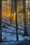 IMG_12255  -  <strong>Coucher de soleil dans la brume</strong><br/>Bauges - janvier 2014