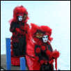 Carnaval Vénitien - Annecy 2015
