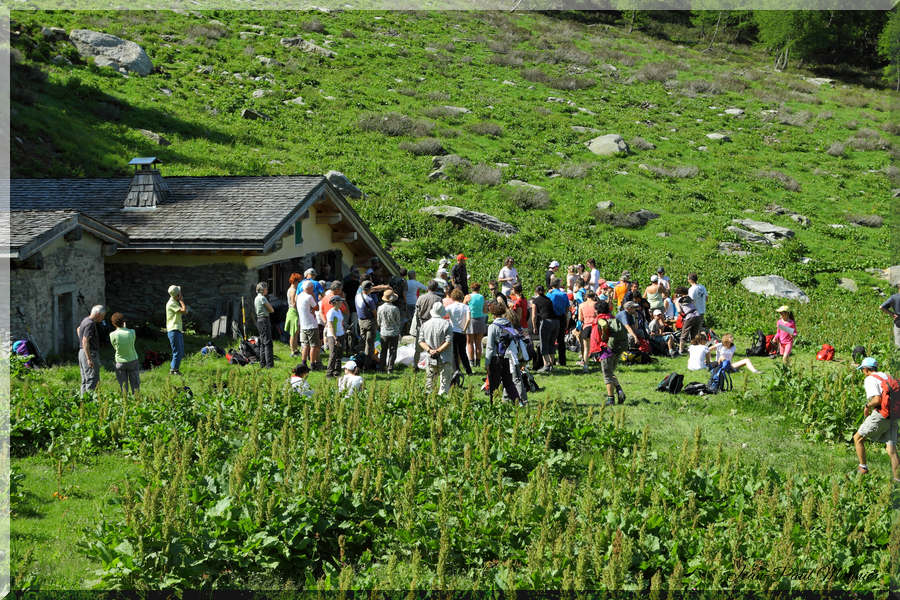 Foulées du sel 2013