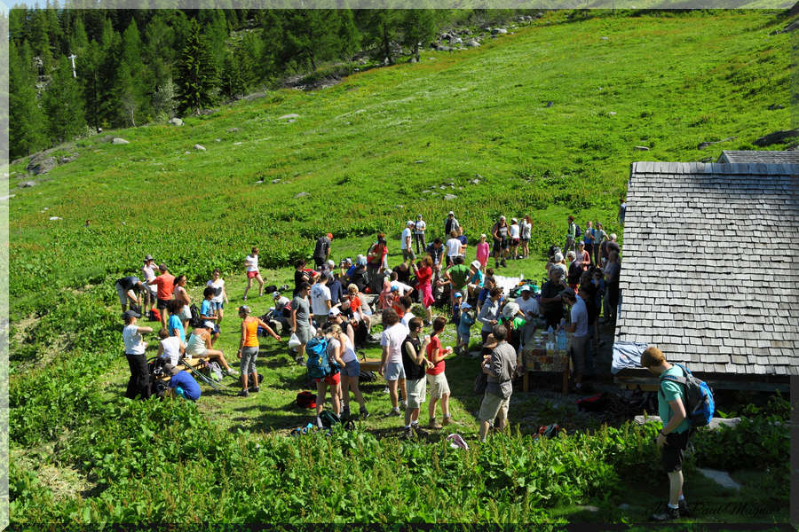 Foulées du sel 2013