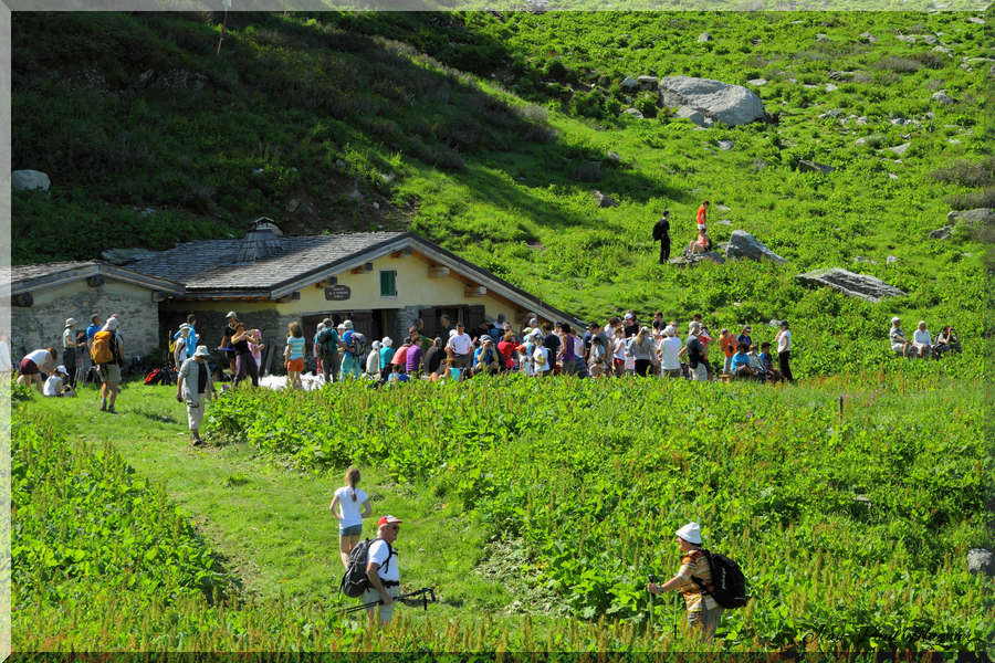 Foulées du sel 2013
