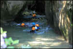 IMG_10417  -  <strong>canyoning</strong>	<br/>  Bauges - Août 2013